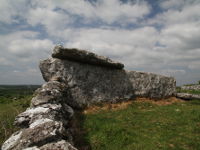 Ballyganner South Wedge Tomb